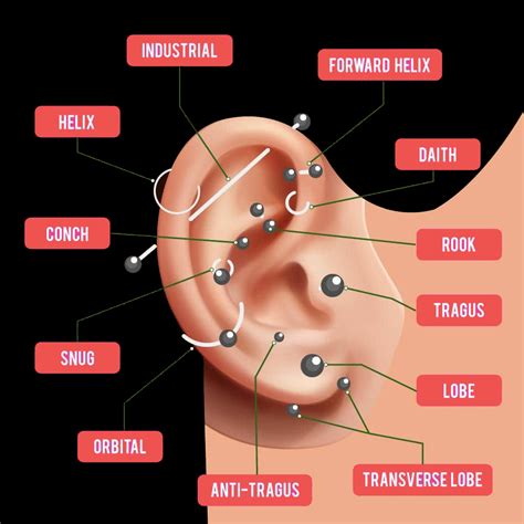 fake piercings claire's|claire's piercing chart.